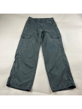 American Eagle Dusty Slate Stretch Canvas Baggy Wide Leg Cargo Pant 4R